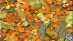 Red Lentils