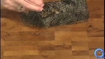 Kai-Pen Rollups
